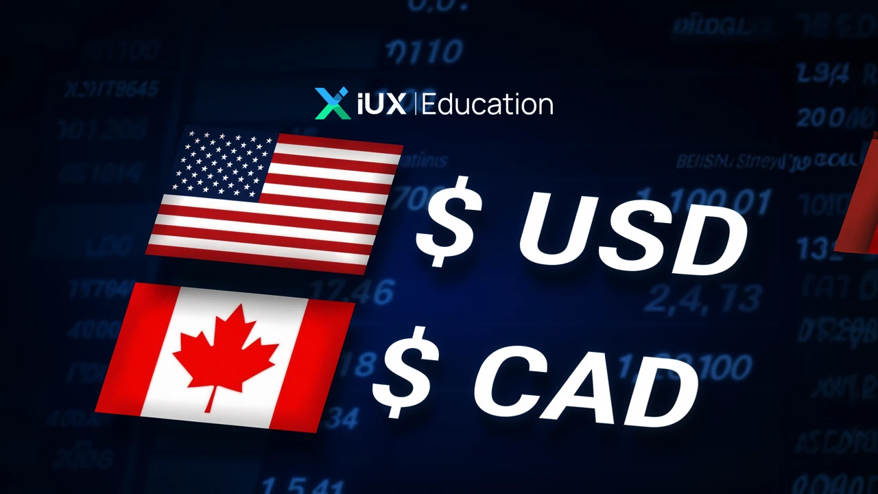 Mengenal Lebih Dalam Pasar Forex – Bagaimana USD/CAD Bergerak Seiring Harga Minyak