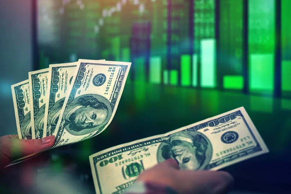 what is amount investment