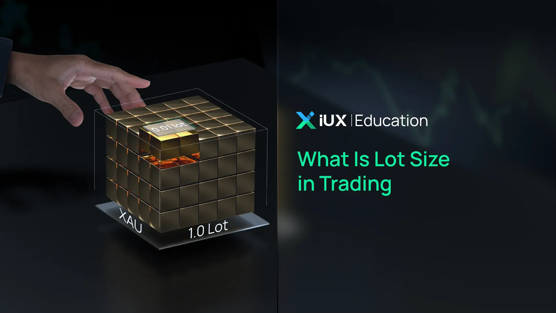 Apa Itu Lot Size dalam Trading dan Bagaimana Cara Menghitungnya?