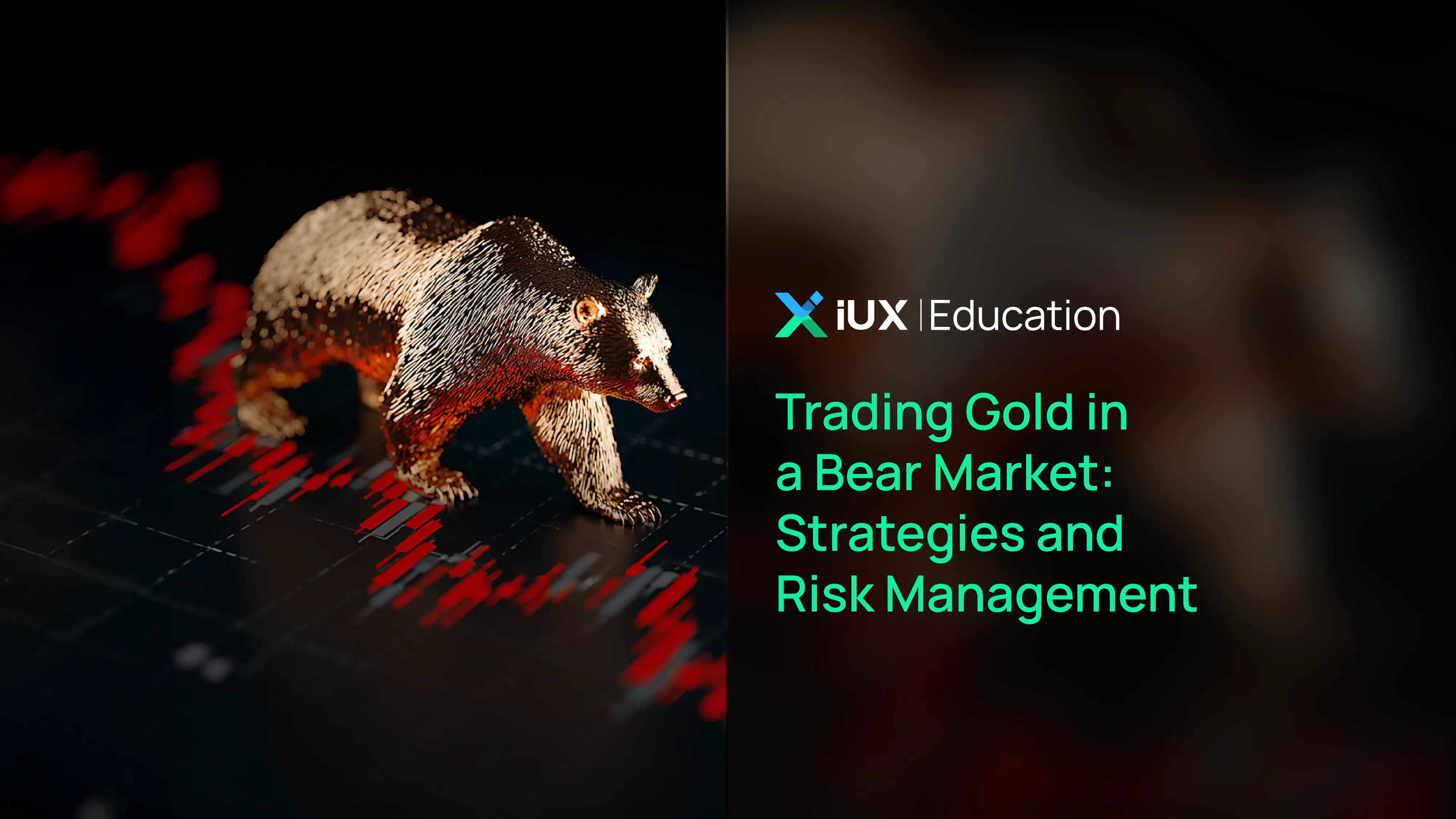 Trading Gold in a Bear Market: Strategies and Risk Management