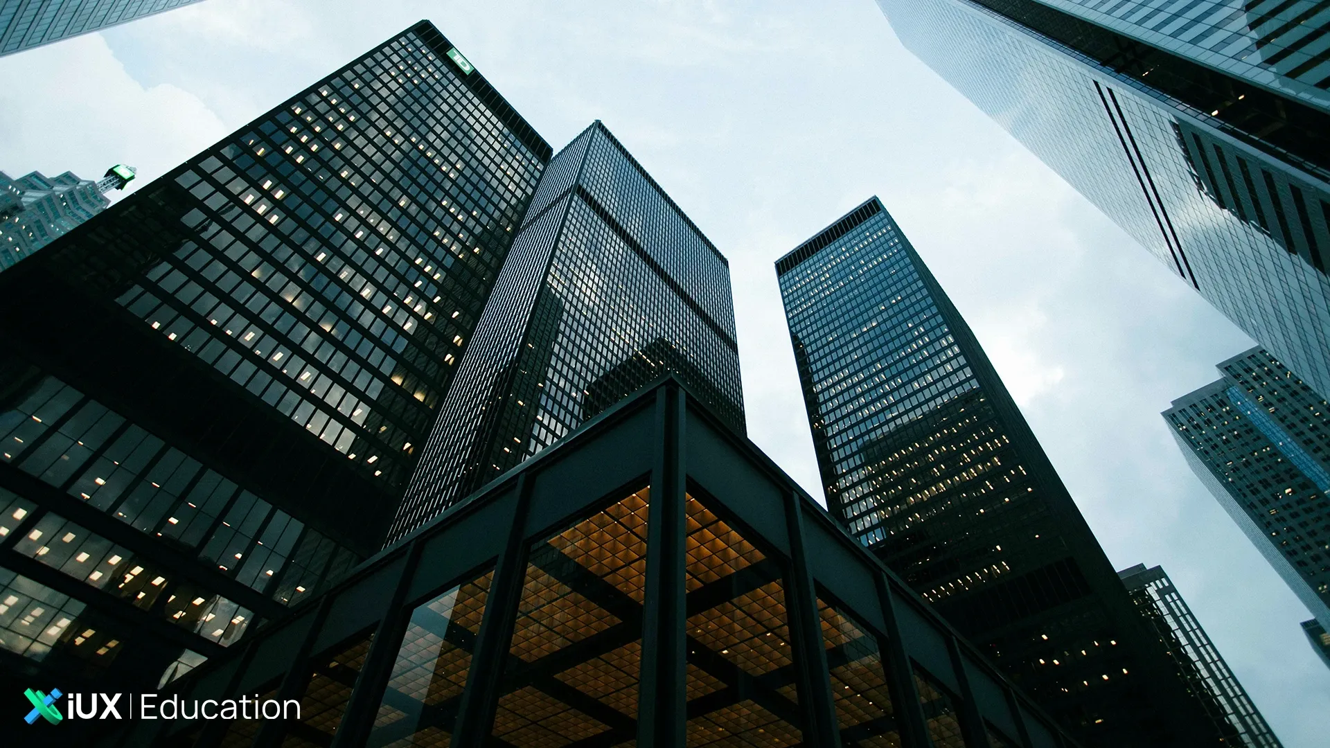 What Are Dividend Stocks