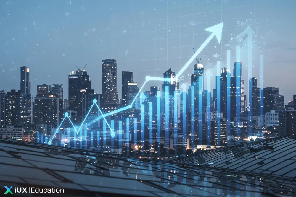 Fundamental Analysis in the Stock Market